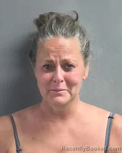 Mugshot of JENNIFER ANN ROBINSON