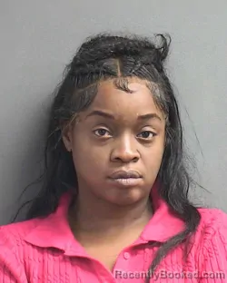 Mugshot of RACHELLE LORETTA MCMILLON