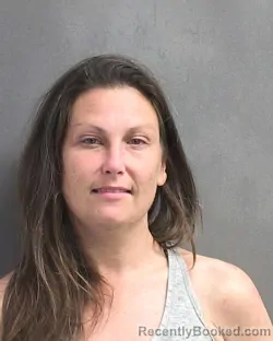 Mugshot of MEGAN MARIE INGOLDSBY