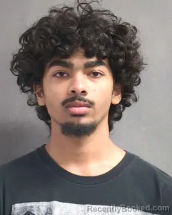 Mugshot of AVISAEL T FELICIANO