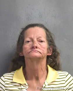 Mugshot of KIMBERLY ANNE BRASHEAR