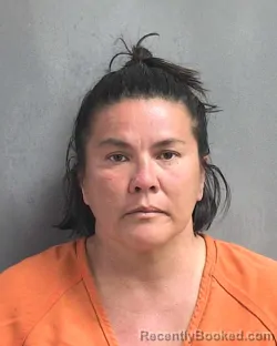 Mugshot of ANDREA DINI AMUNDSEN