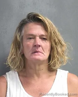 Mugshot of HEIDI MASON HEMPHILL