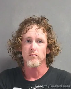 Mugshot of MICHAEL WELLS