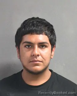 Mugshot of JUSTIN JAMES FLORES