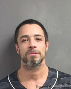 Mugshot of BRIAN IVIS TRAVERZO