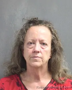 Mugshot of JOANNE DONNELLY