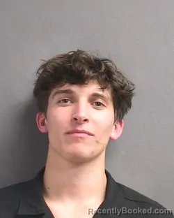 Mugshot of TAYLOR BRANDYN HOFER