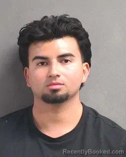 Mugshot of ORLANDO LORENZO HERNANDEZ-ARGUETA