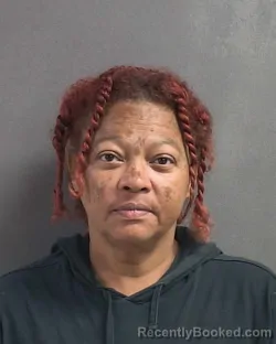 Mugshot of MARITZA ARTILES