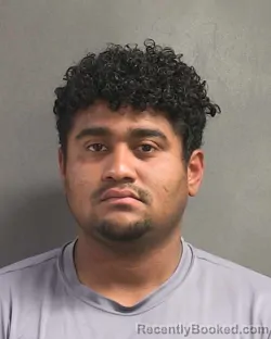 Mugshot of MELVIN JONAS RUIZ ORELLANA