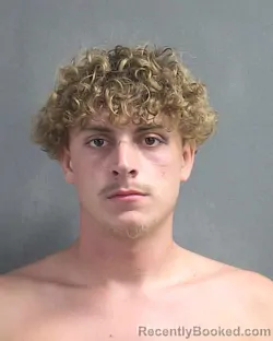 Mugshot of JOSEPH LEE SCHIERLAND