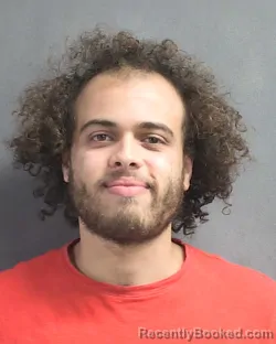 Mugshot of DANIEL BERGERY