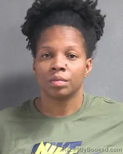 Mugshot of YORDANKA M HERNANDEZ