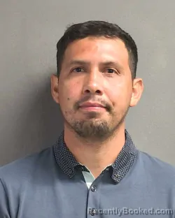 Mugshot of ERASMO VELASQUEZ GUTIERREZ