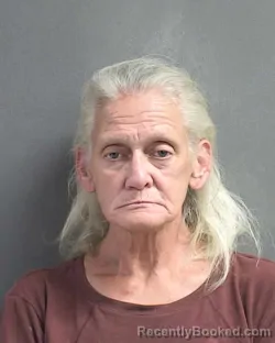 Mugshot of DEBRA LYNN JENNINGS