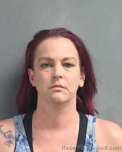 Mugshot of ERICA LYNN PECKHAM