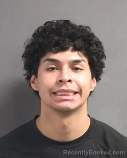 Mugshot of ORLANDO ALEXIS HAMBURGER