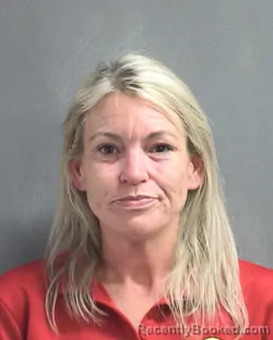 Mugshot of VIRGINA IRENE ANDERSON