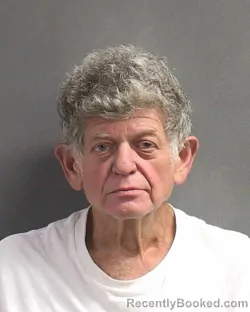 Mugshot of DIEGO HANDEL