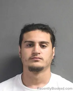 Mugshot of CAM'RON DOMINGO PAGAN