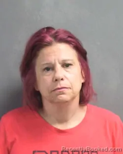Mugshot of MEGAN EILEEN MCNEIL