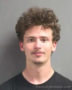Mugshot of DANIL FRANCISCO ANZALONE