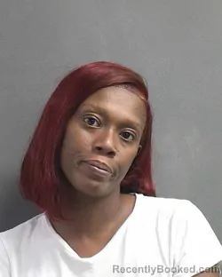 Mugshot of TAMEKA SHERREL SMART