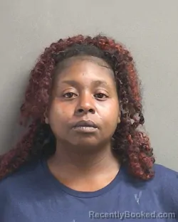 Mugshot of RAQUEL KIMBERLY JOHNSON