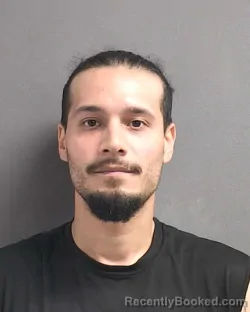 Mugshot of RICKSON LEE BURGOS