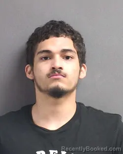 Mugshot of GEOVANNI YANDEL FRANCESCHI