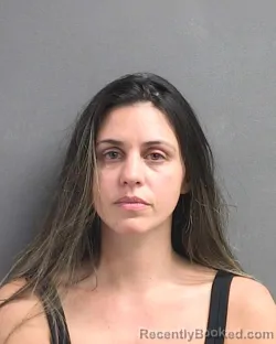 Mugshot of MEGAN RENEE HUTCHINSON