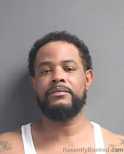 Mugshot of JOHNNY L GRAYSON