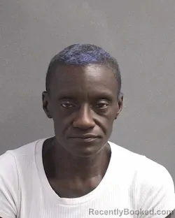 Mugshot of TEANA C NELSON