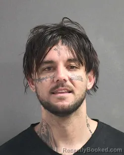 Mugshot of COURTLAND C BALMER