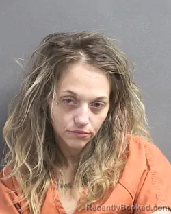 Mugshot of JAIME E MORSE