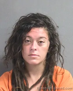 Mugshot of AUNDREA ELIZABETH FLIPSE