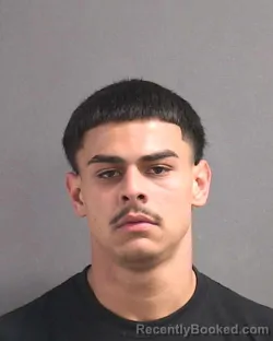 Mugshot of ELIAS DIMITRIOS KALOGIANNAKIS