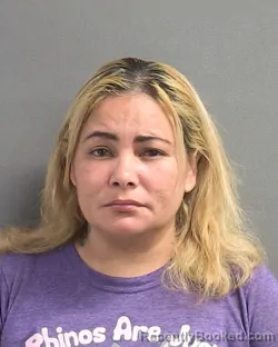 Mugshot of VANESSA YAMILETH AVILA BODDEN booked in Volusia County, Florida on April 26, 2026