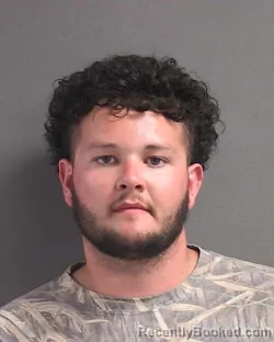 Mugshot of REECE ANGELO BALSANO booked in Volusia County, Florida on April 26, 2026