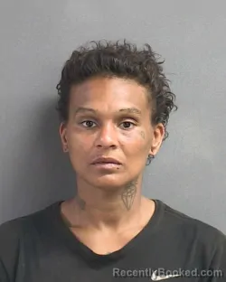 Mugshot of ANDREA MEADOWS booked in Volusia County, Florida on April 29, 2026