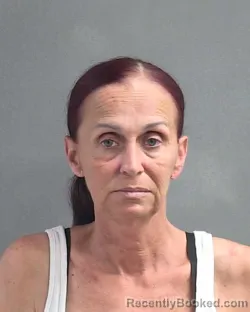 Mugshot of KRISTYN ANN BAIRD booked in Volusia County, Florida on April 29, 2026