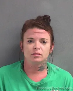 Mugshot of MICHELLE L THOMAS booked in Volusia County, Florida on May 1, 2026