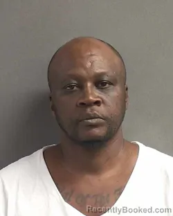 Mugshot of ROBERT DAMON MIMS booked in Volusia County, Florida on May 1, 2026