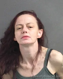 Mugshot of NINA EVELYN HOLLEY booked in Volusia County, Florida on May 1, 2026