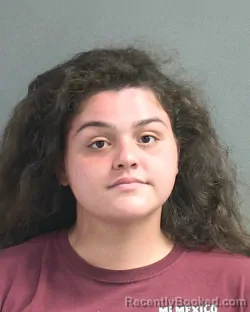Mugshot of MARISSA VICTORIA PARRISH booked in Volusia County, Florida on May 2, 2026