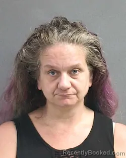 Mugshot of JAMIE LEE MACKENZIE booked in Volusia County, Florida on May 2, 2026