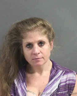 Mugshot of HEATHER ANN LEWIS booked in Volusia County, Florida on May 3, 2026