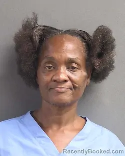 Mugshot of MELISSA ANGELA JENKINS booked in Volusia County, Florida on May 3, 2026