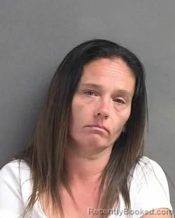 Mugshot of LISA A LAMELA booked in Volusia County, Florida on May 3, 2026